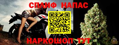 дживик Ачхой-Мартан